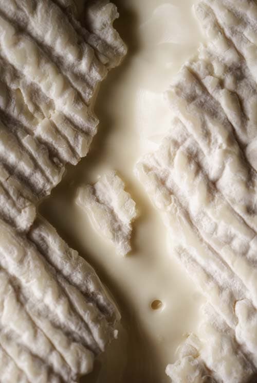 cheese