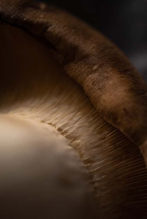 Mushrooms