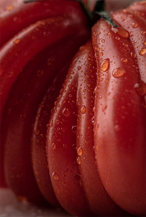 Tomato